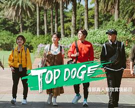 暗网解密《TOP DOG》免费在线观看