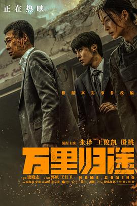 暗网解密《万里归途》免费在线观看