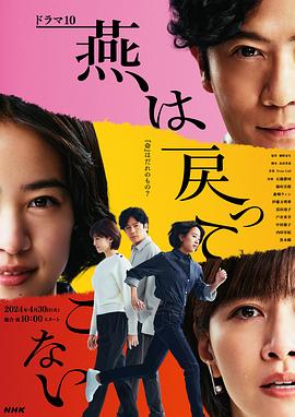 暗网视频《燕子不再归来》免费在线观看