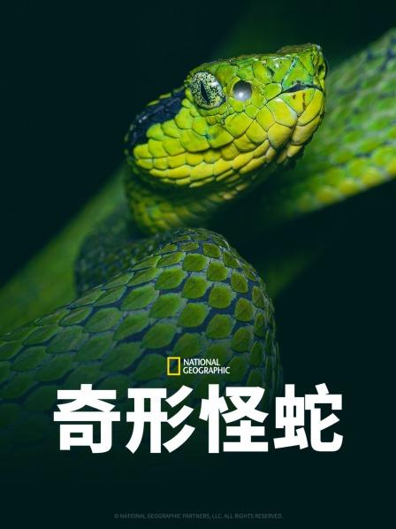 暗黑吃瓜官网入口《奇形怪蛇》免费在线观看